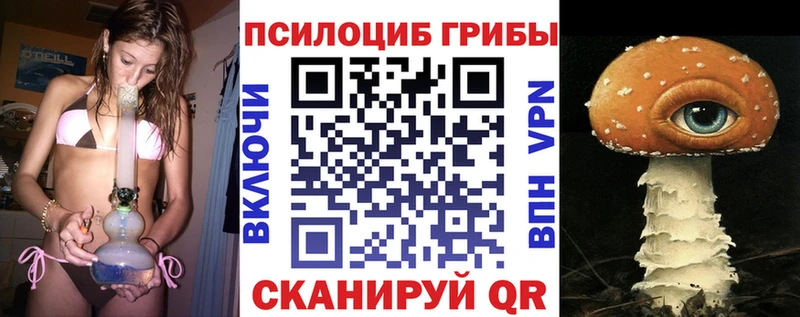 mega рабочий сайт  купить наркотики цена  Полтавская  Галлюциногенные грибы мицелий 